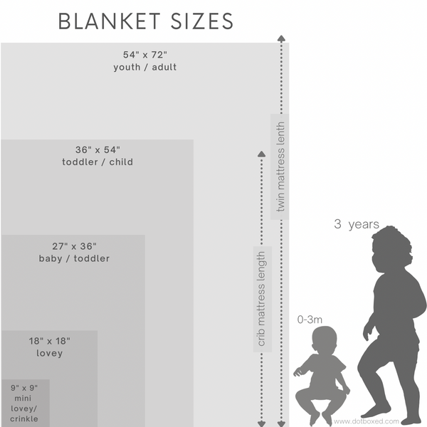 Tossed Pumpkins - Minky Blanket