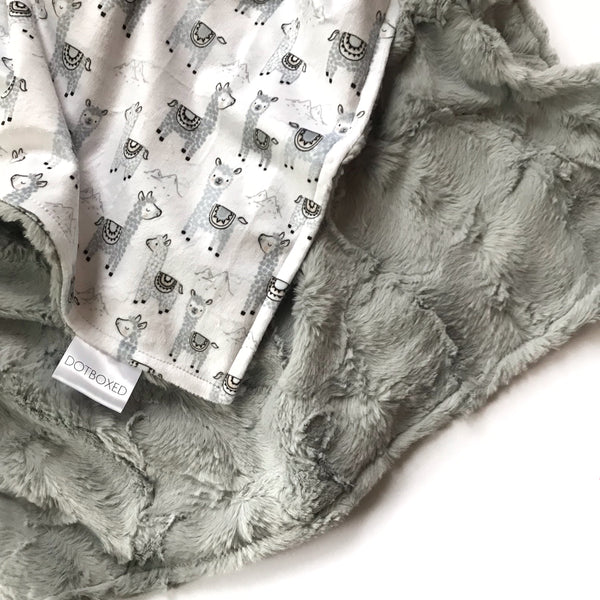 Minky Blanket - Alpaclettes - Dotboxed