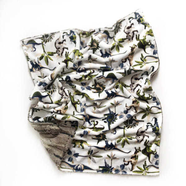 Minky Blanket - Dinosaurs - Dotboxed