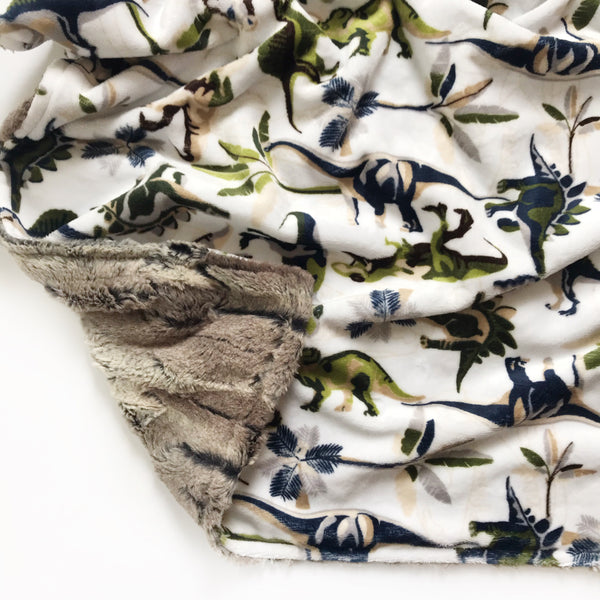 Minky Blanket - Dinosaurs - Dotboxed